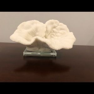 White Coral decor